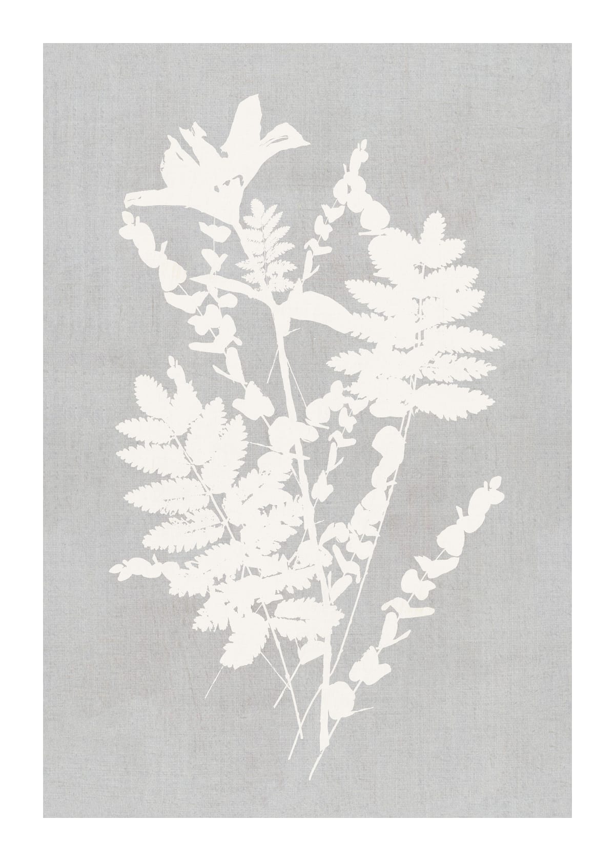 variant-50x70_with-margin