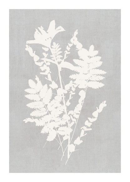 variant-50x70_with-margin