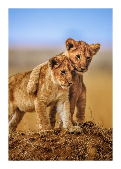 variant-50x70_with-margin