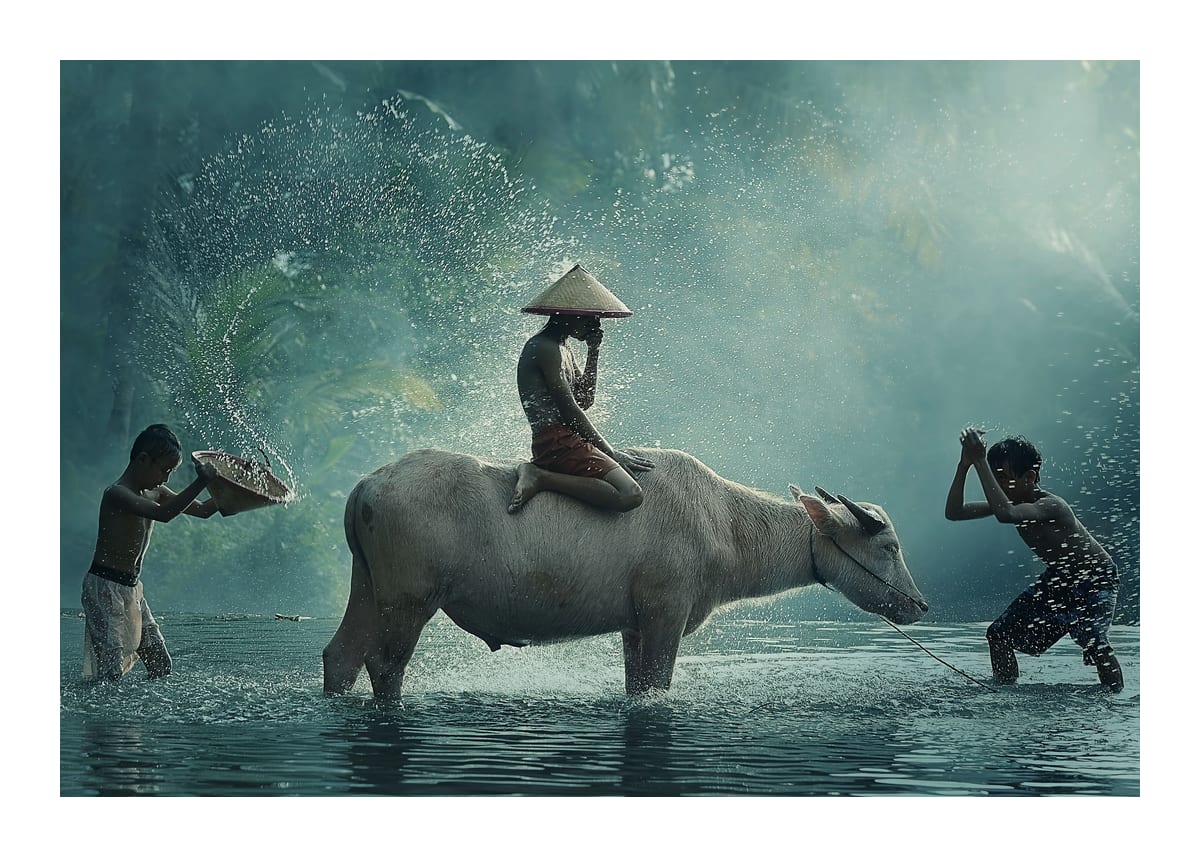 variant-50x70_with-margin