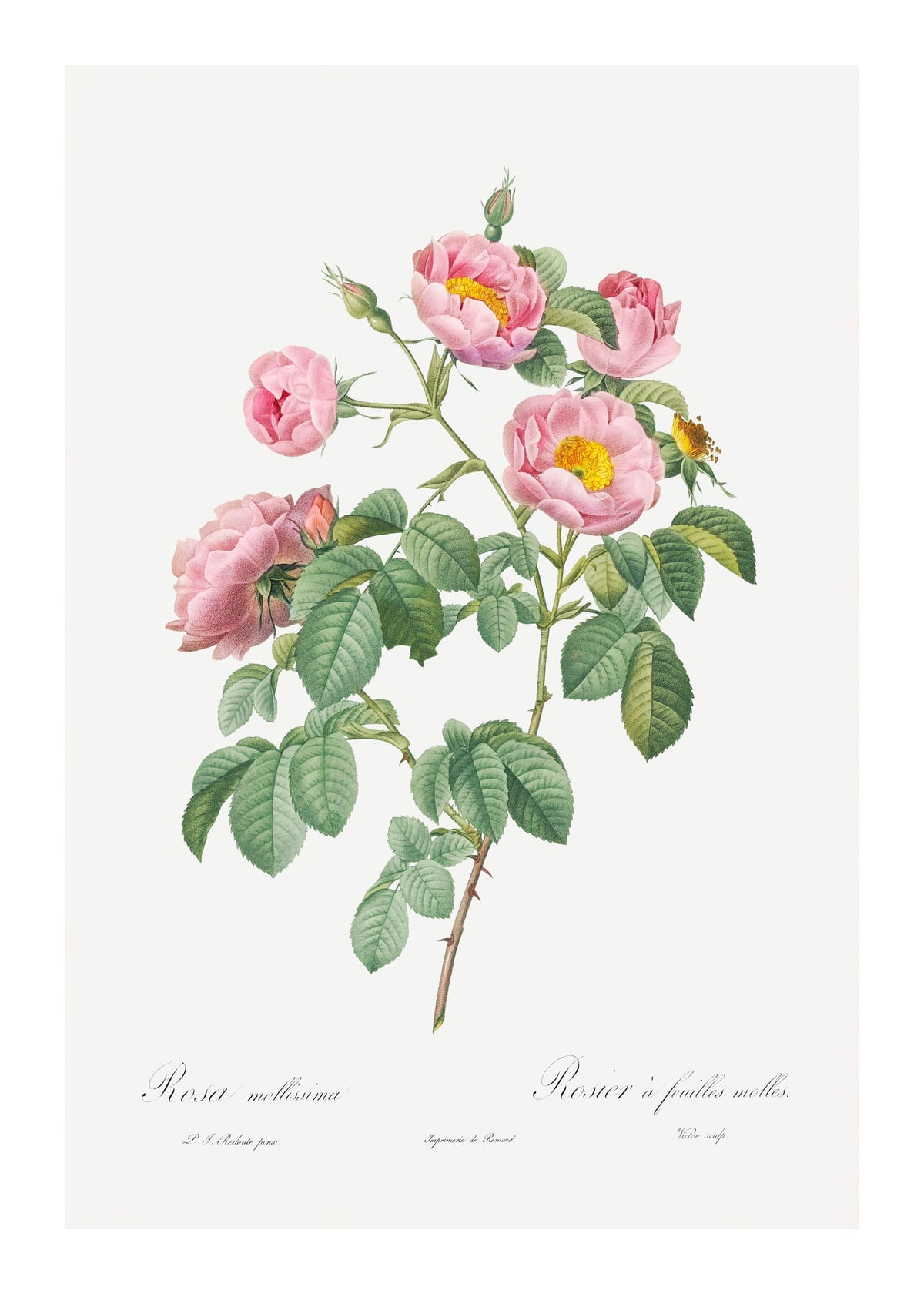 variant-50x70_with-margin