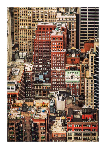 variant-50x70_with-margin