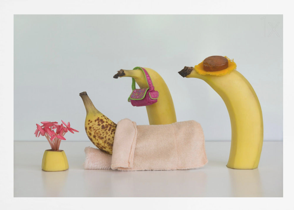 A whimsical still life photo featuring three bananas personified as a family or friends. One overripe, spotted banana lies down, covered by a pink towel, while another banana with a tiny pink purse and a third with a small hat seem to be visiting. A small vase with pink flowers sits nearby on the white surface. Poster