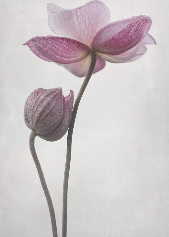 An abstract art print or poster titled 'A Little Touch', suitable for modern decor. Wall Art