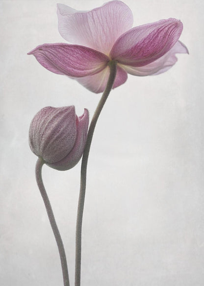 An abstract art print or poster titled 'A Little Touch', suitable for modern decor. Wall Art