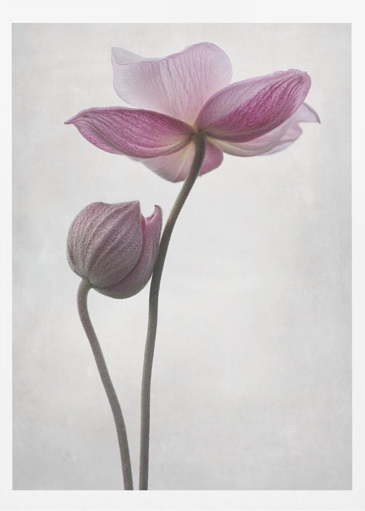 An abstract art print or poster titled 'A Little Touch', suitable for modern decor. Wall Art