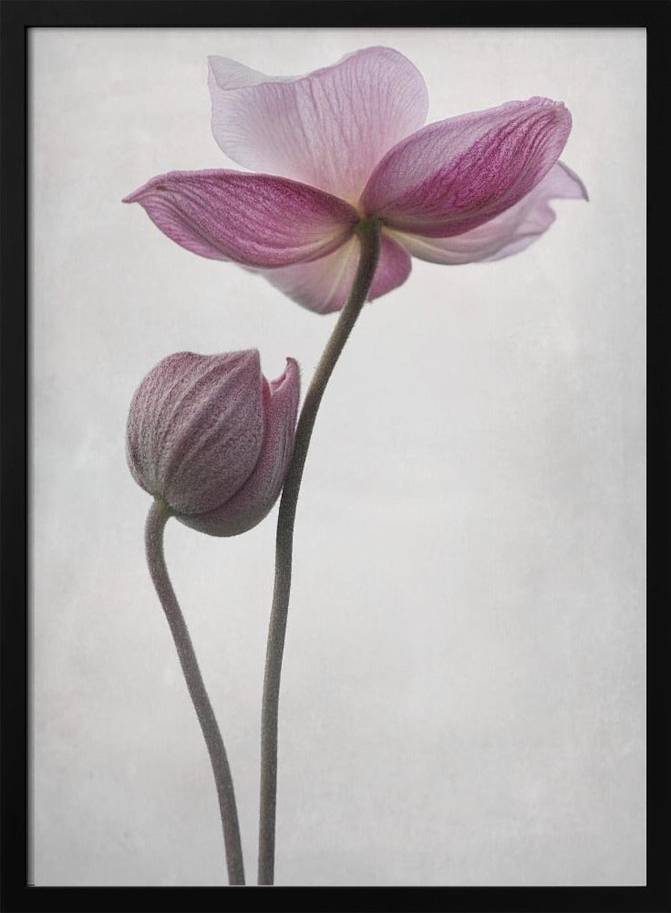 An abstract art print or poster titled 'A Little Touch', suitable for modern decor. Wall Art