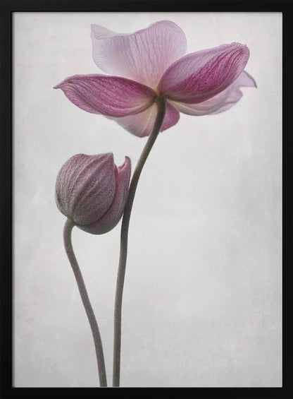 An abstract art print or poster titled 'A Little Touch', suitable for modern decor. Wall Art