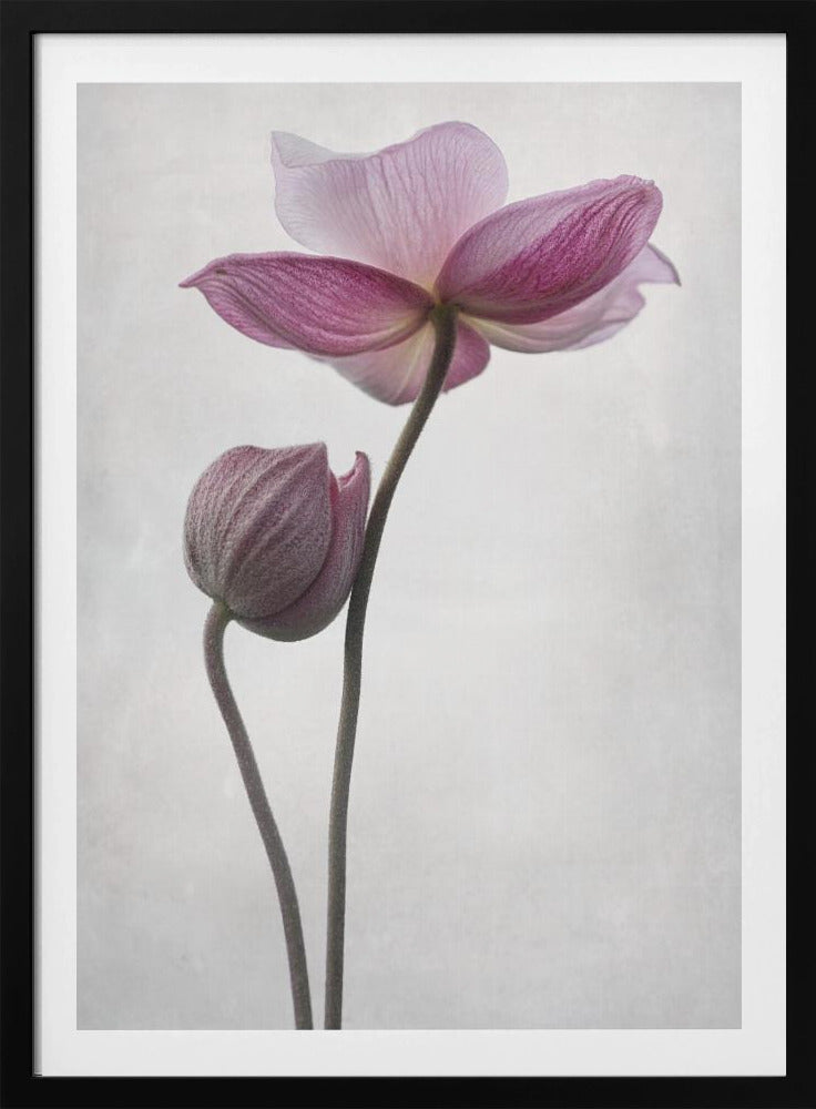 An abstract art print or poster titled 'A Little Touch', suitable for modern decor. Wall Art