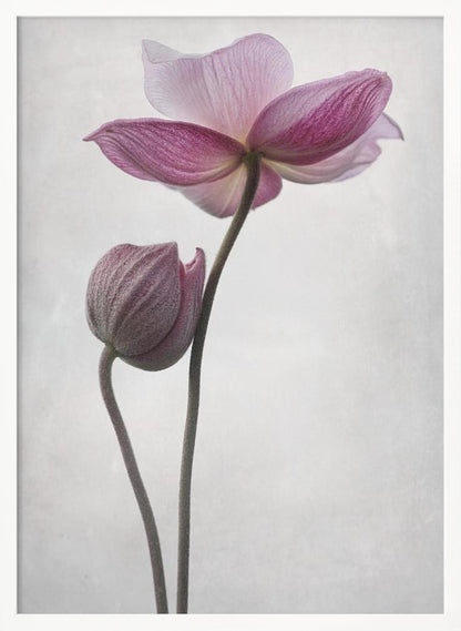 An abstract art print or poster titled 'A Little Touch', suitable for modern decor. Wall Art
