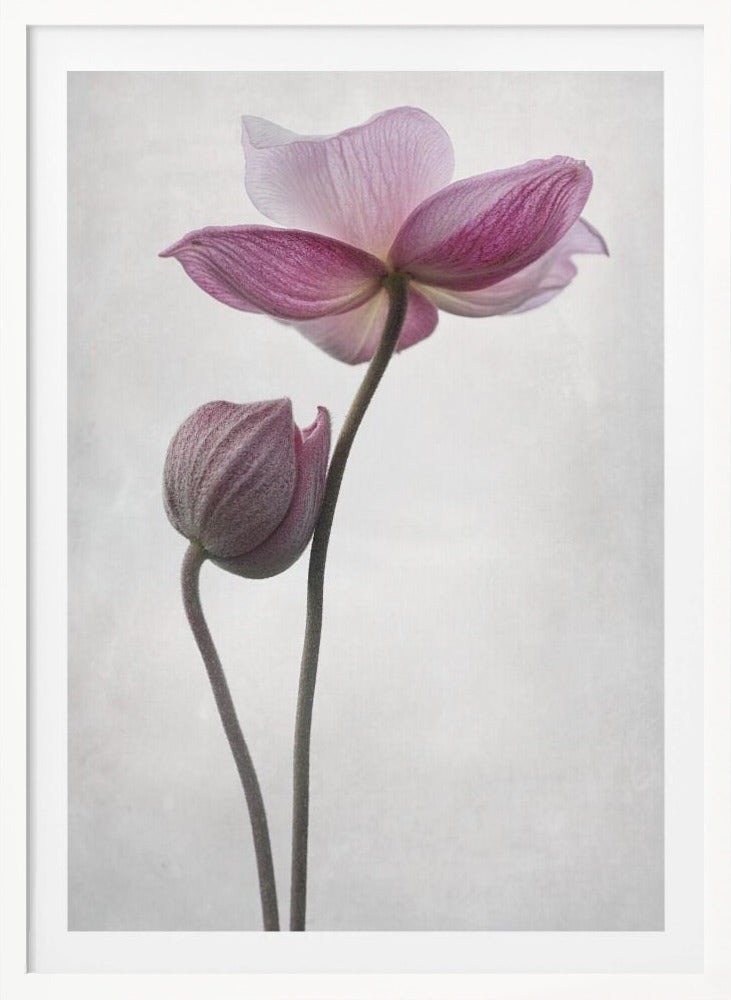 An abstract art print or poster titled 'A Little Touch', suitable for modern decor. Wall Art