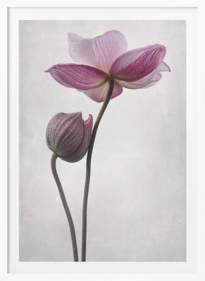 An abstract art print or poster titled 'A Little Touch', suitable for modern decor. Wall Art