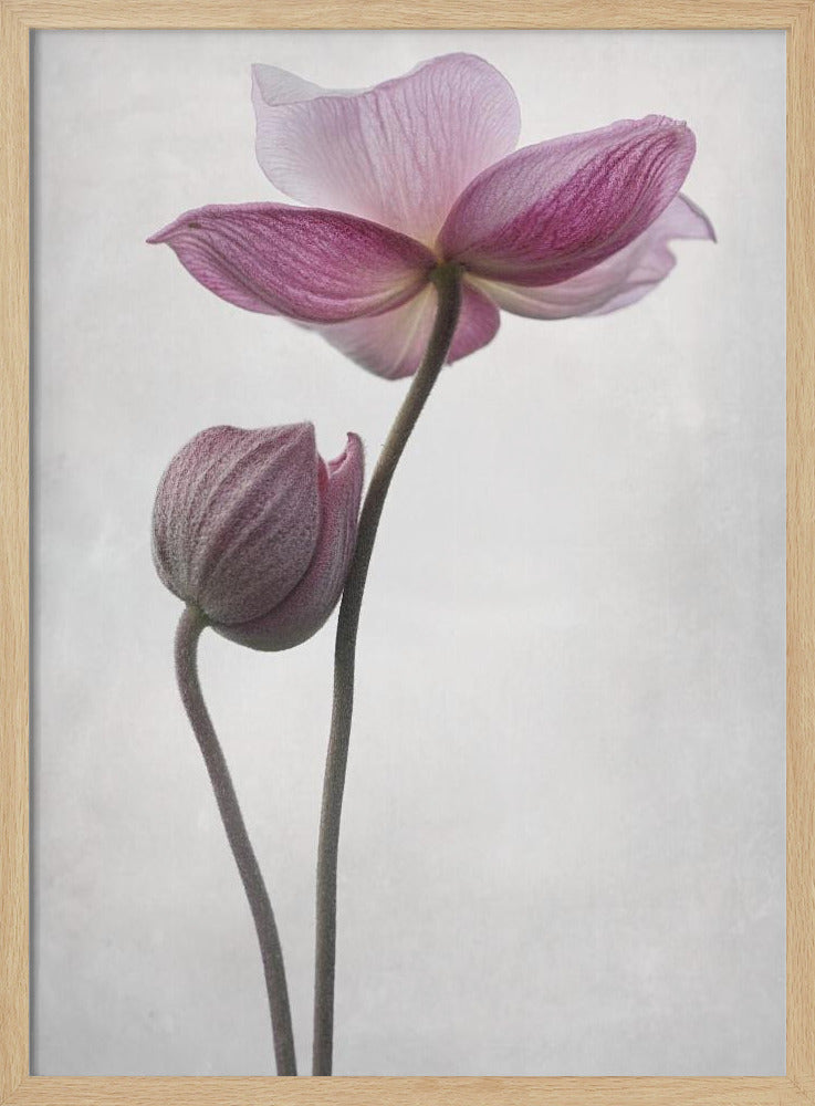 An abstract art print or poster titled 'A Little Touch', suitable for modern decor. Wall Art