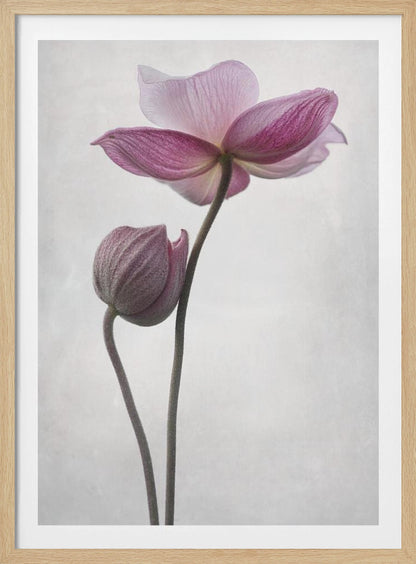An abstract art print or poster titled 'A Little Touch', suitable for modern decor. Wall Art