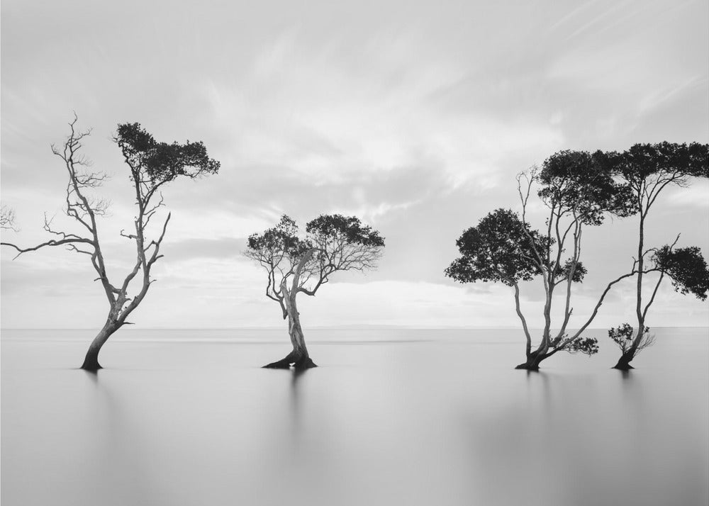 A serene black and white long-exposure photograph of several trees standing in still, calm water. The water is perfectly smooth, reflecting the dark silhouettes of the trees. A soft, cloudy sky hangs overhead, creating a minimalist and tranquil landscape scene, all enclosed in a silver frame. Decor