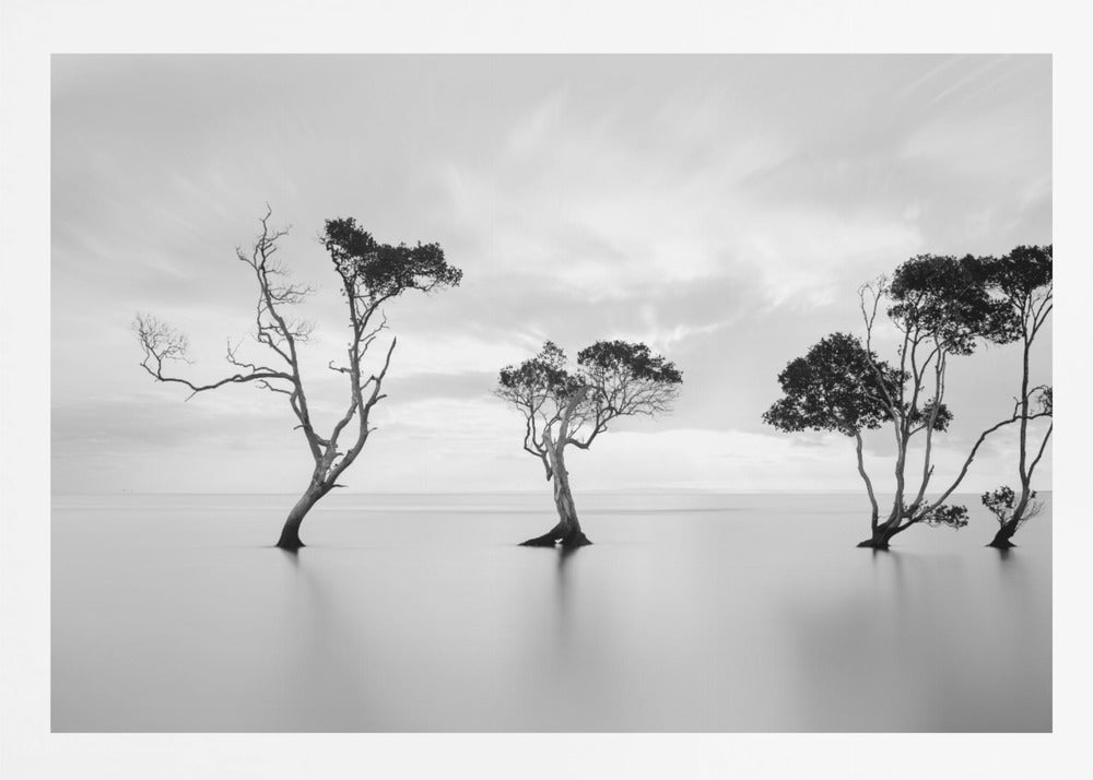 A serene black and white long-exposure photograph of several trees standing in still, calm water. The water is perfectly smooth, reflecting the dark silhouettes of the trees. A soft, cloudy sky hangs overhead, creating a minimalist and tranquil landscape scene, all enclosed in a silver frame. Decor