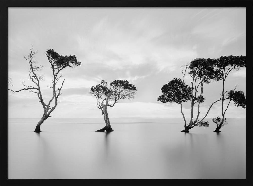 A serene black and white long-exposure photograph of several trees standing in still, calm water. The water is perfectly smooth, reflecting the dark silhouettes of the trees. A soft, cloudy sky hangs overhead, creating a minimalist and tranquil landscape scene, all enclosed in a silver frame. Decor