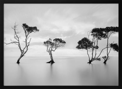 A serene black and white long-exposure photograph of several trees standing in still, calm water. The water is perfectly smooth, reflecting the dark silhouettes of the trees. A soft, cloudy sky hangs overhead, creating a minimalist and tranquil landscape scene, all enclosed in a silver frame. Decor