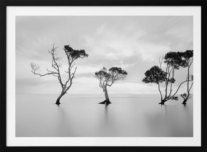 A serene black and white long-exposure photograph of several trees standing in still, calm water. The water is perfectly smooth, reflecting the dark silhouettes of the trees. A soft, cloudy sky hangs overhead, creating a minimalist and tranquil landscape scene, all enclosed in a silver frame. Decor