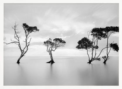 A serene black and white long-exposure photograph of several trees standing in still, calm water. The water is perfectly smooth, reflecting the dark silhouettes of the trees. A soft, cloudy sky hangs overhead, creating a minimalist and tranquil landscape scene, all enclosed in a silver frame. Decor