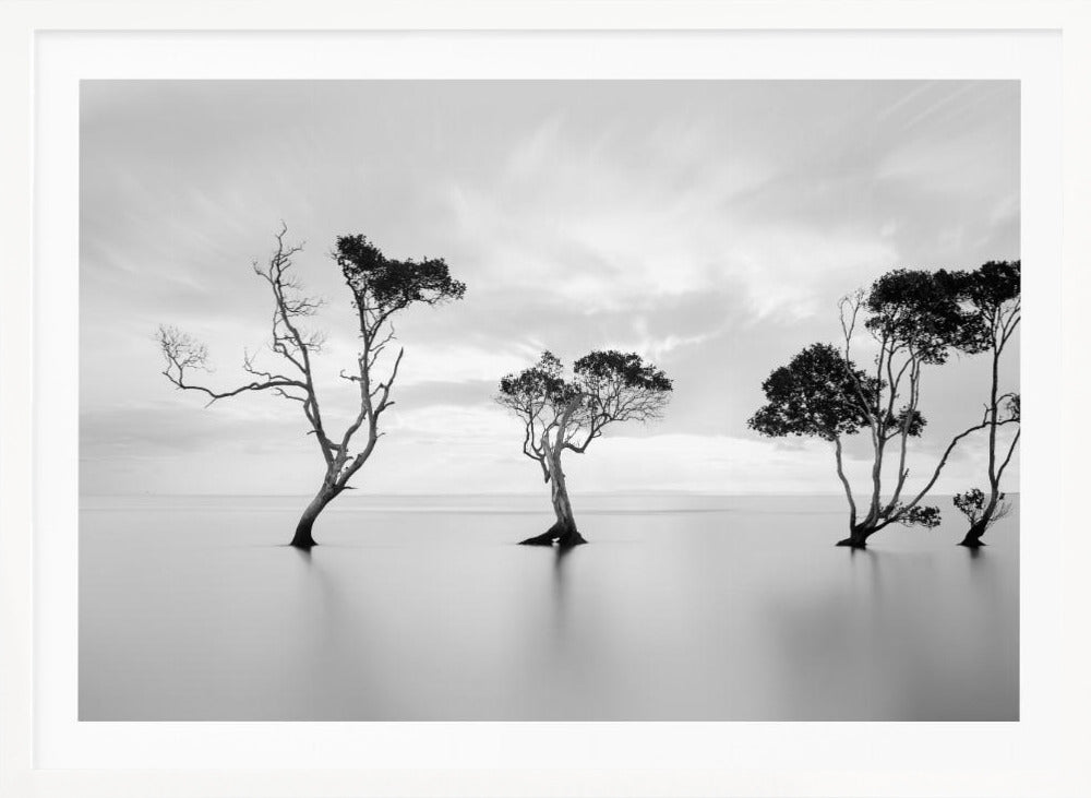A serene black and white long-exposure photograph of several trees standing in still, calm water. The water is perfectly smooth, reflecting the dark silhouettes of the trees. A soft, cloudy sky hangs overhead, creating a minimalist and tranquil landscape scene, all enclosed in a silver frame. Decor