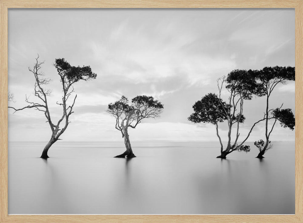 A serene black and white long-exposure photograph of several trees standing in still, calm water. The water is perfectly smooth, reflecting the dark silhouettes of the trees. A soft, cloudy sky hangs overhead, creating a minimalist and tranquil landscape scene, all enclosed in a silver frame. Decor