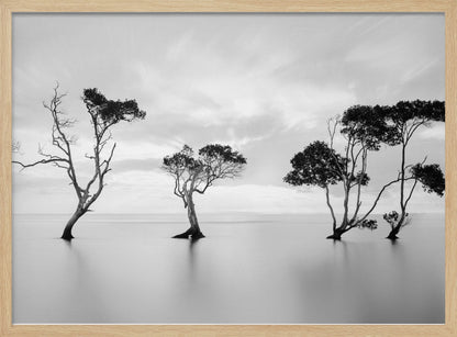 A serene black and white long-exposure photograph of several trees standing in still, calm water. The water is perfectly smooth, reflecting the dark silhouettes of the trees. A soft, cloudy sky hangs overhead, creating a minimalist and tranquil landscape scene, all enclosed in a silver frame. Decor