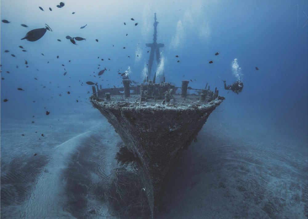 An underwater photograph of a large, sunken shipwreck resting on the sandy ocean floor. Two scuba divers are exploring the wreck, surrounded by schools of small fish in the deep blue water, with light filtering down from the surface. Print
