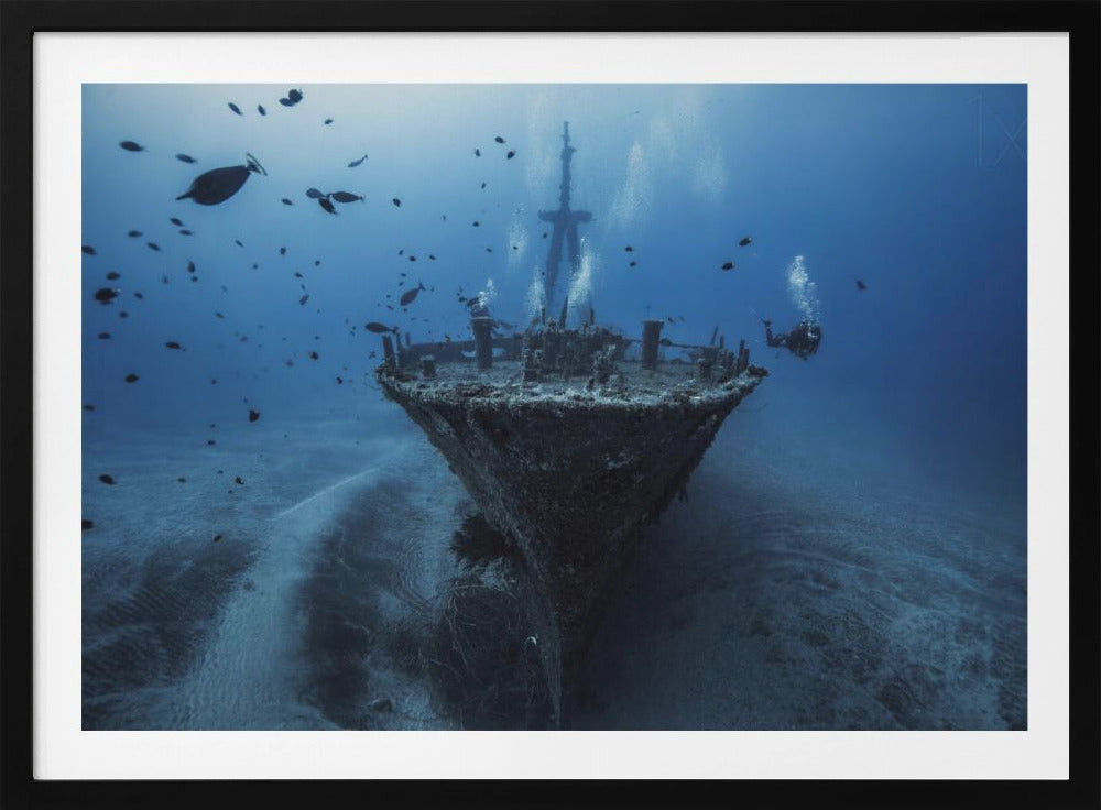 An underwater photograph of a large, sunken shipwreck resting on the sandy ocean floor. Two scuba divers are exploring the wreck, surrounded by schools of small fish in the deep blue water, with light filtering down from the surface. Print