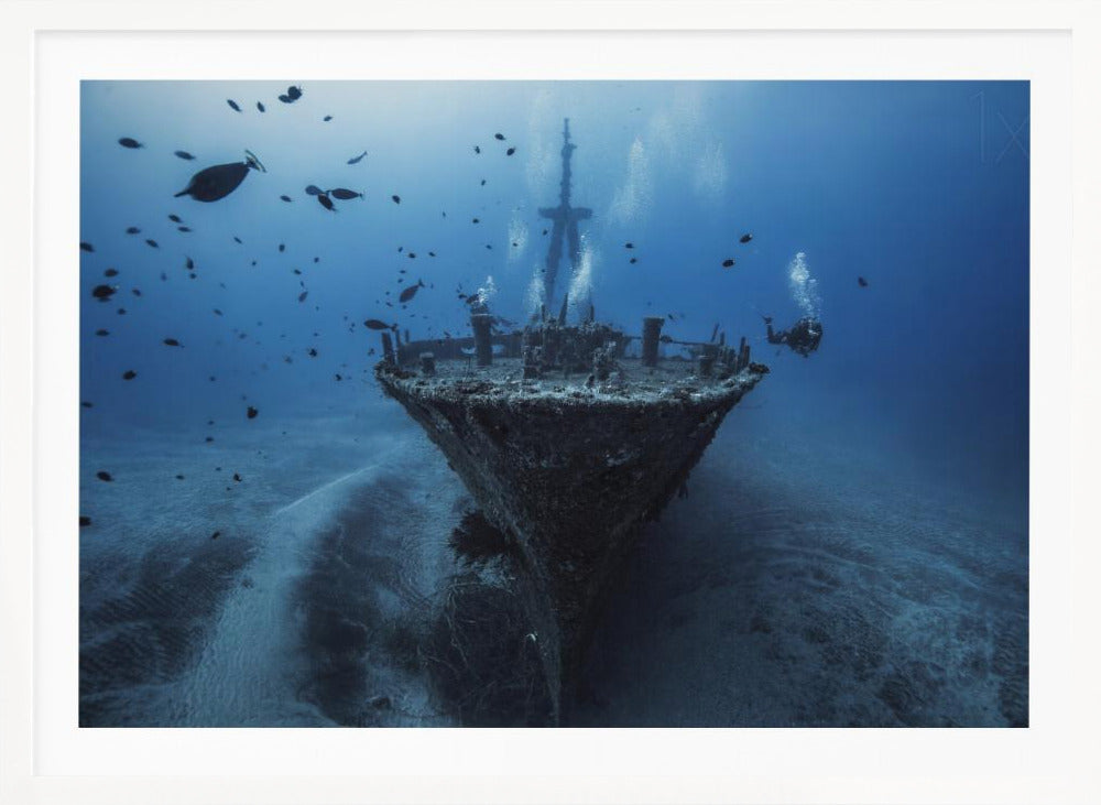An underwater photograph of a large, sunken shipwreck resting on the sandy ocean floor. Two scuba divers are exploring the wreck, surrounded by schools of small fish in the deep blue water, with light filtering down from the surface. Print