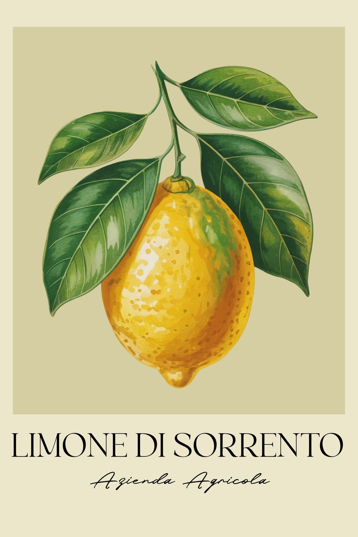 variant-60x90_no-margin