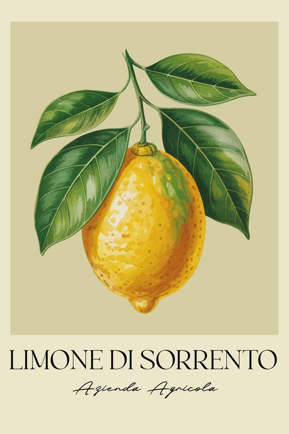 variant-60x90_no-margin