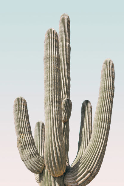 variant-60x90_no-margin