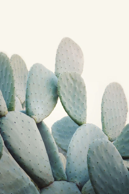 variant-60x90_no-margin