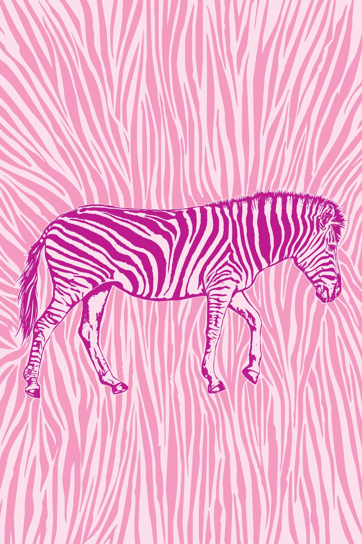 variant-60x90_no-margin