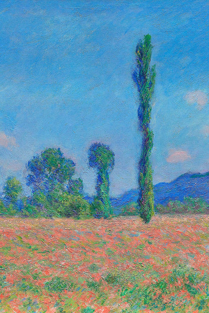 variant-60x90_no-margin