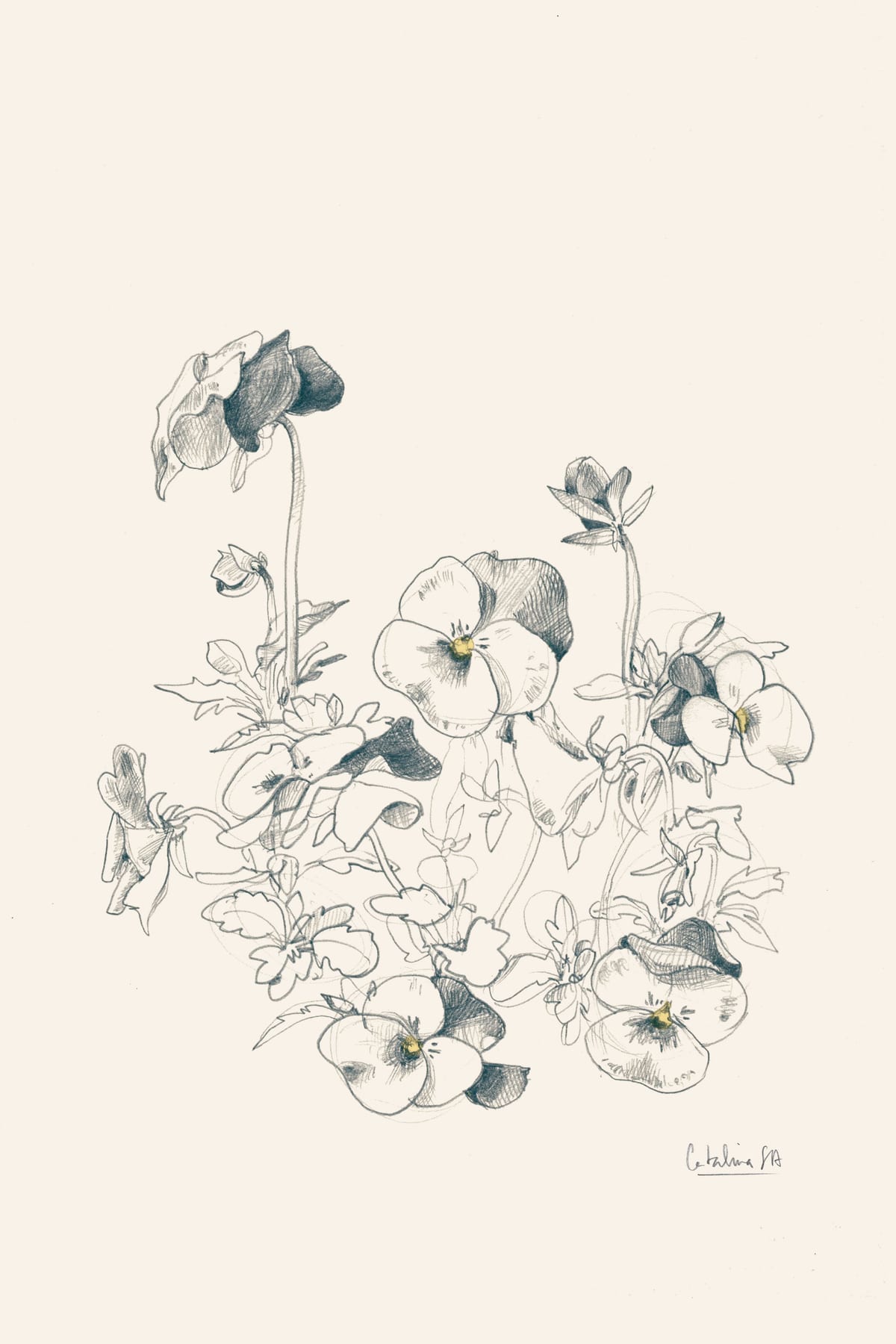 variant-60x90_no-margin