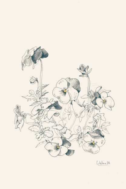 variant-60x90_no-margin