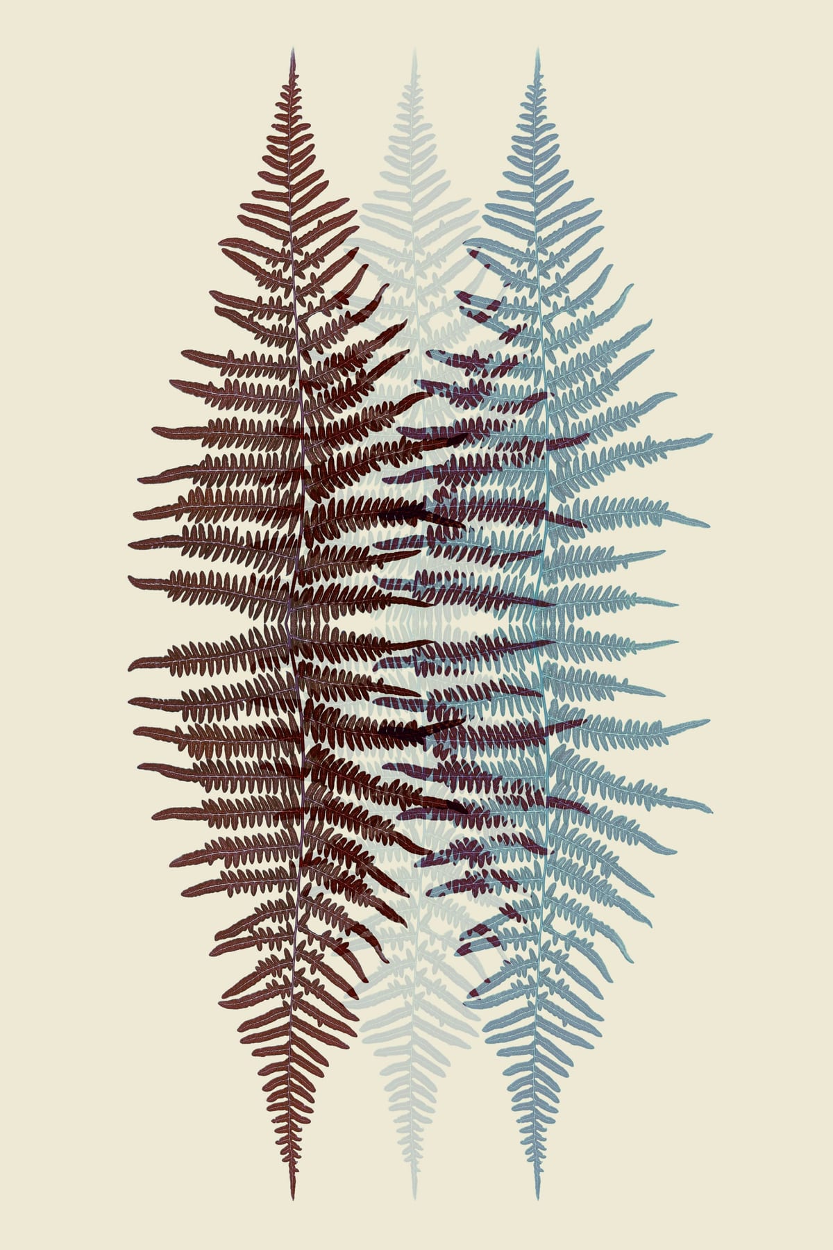 variant-60x90_no-margin