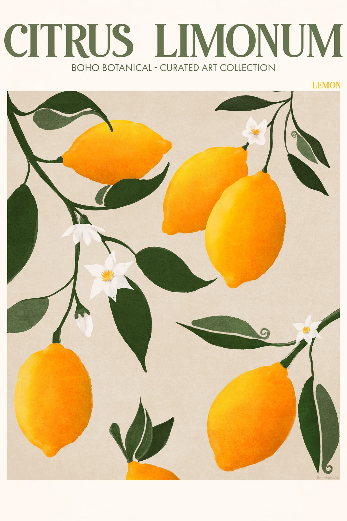 variant-60x90_no-margin