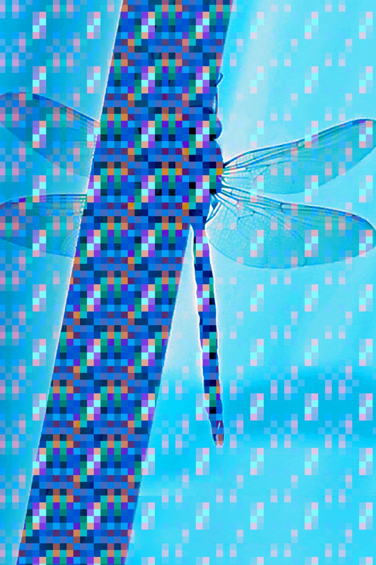 variant-60x90_no-margin