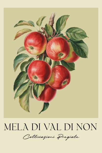 variant-60x90_no-margin