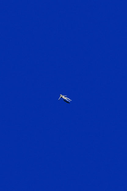 variant-60x90_no-margin