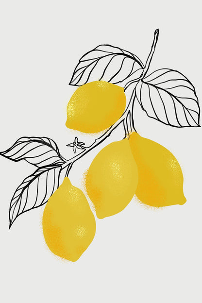variant-60x90_no-margin