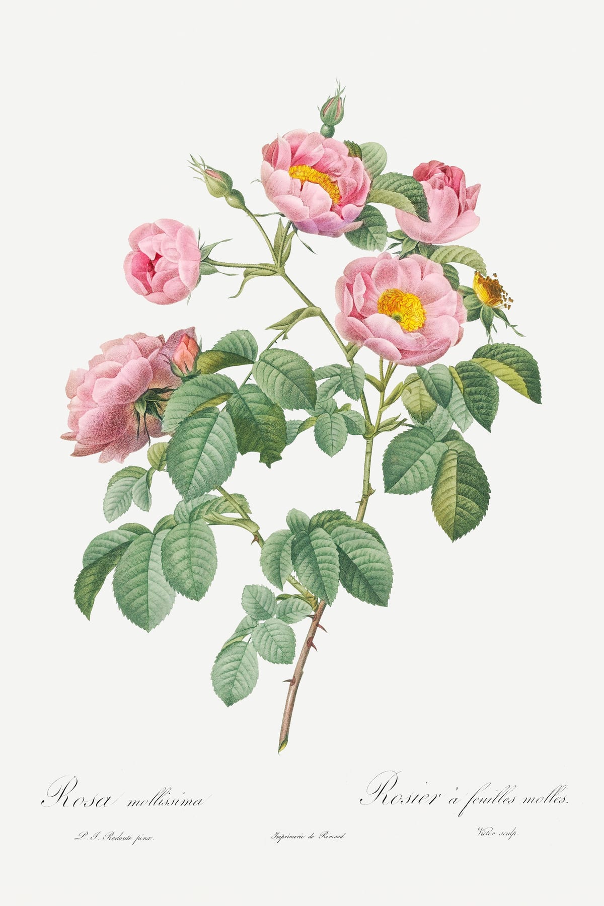 variant-60x90_no-margin