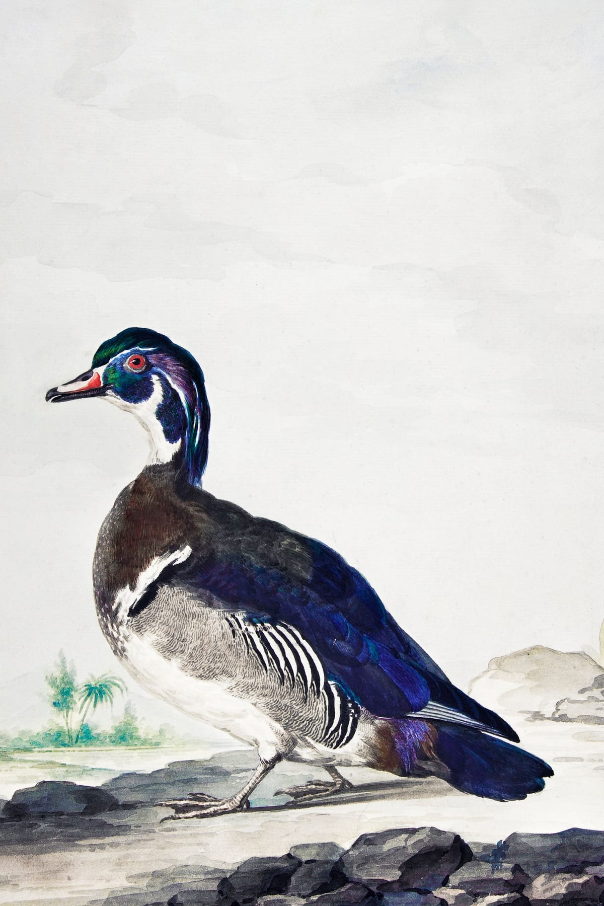 variant-60x90_no-margin