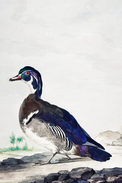 variant-60x90_no-margin