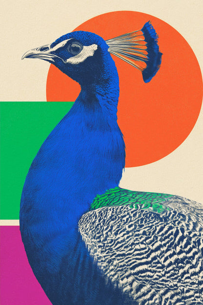 variant-60x90_no-margin