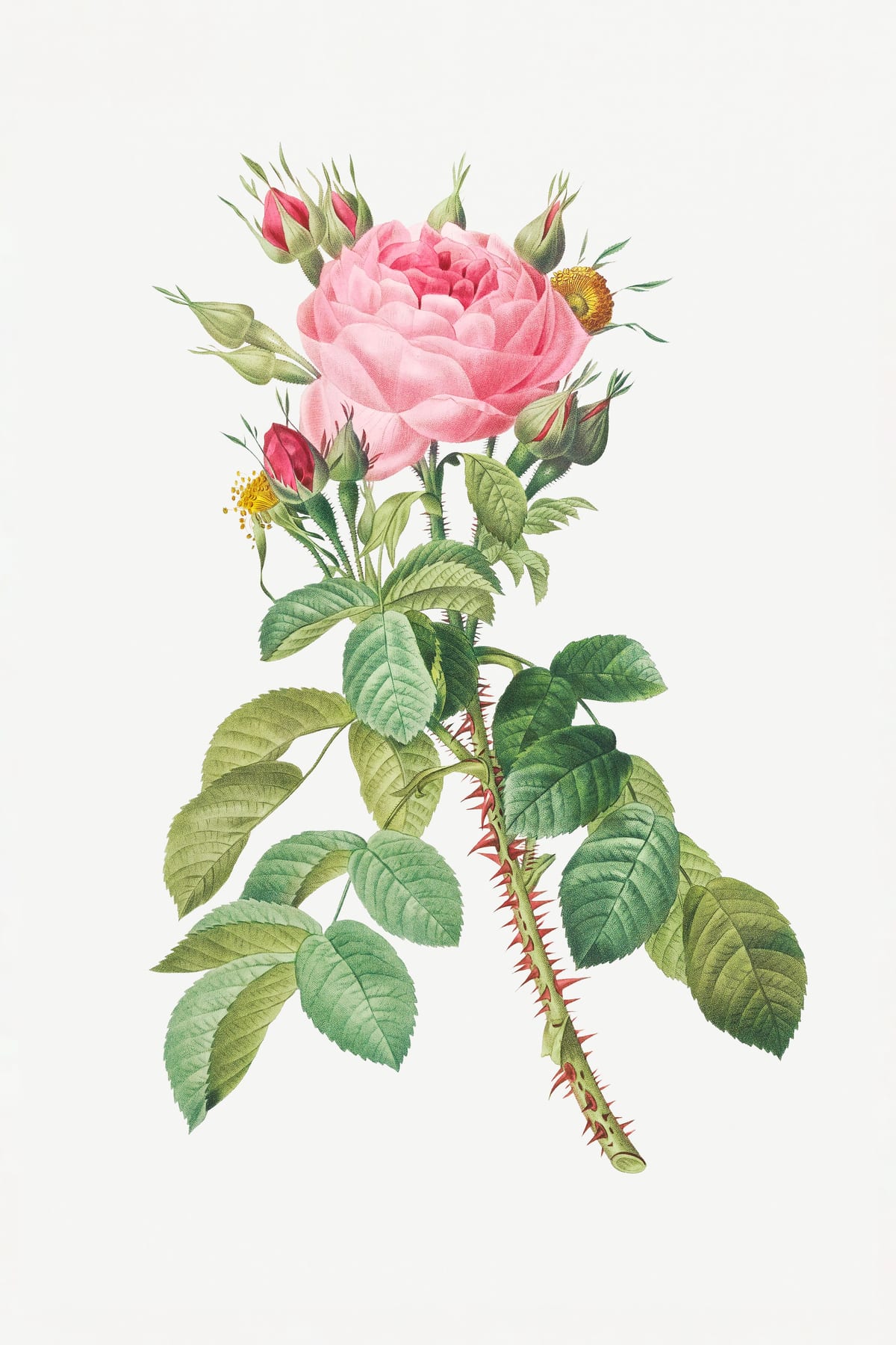 variant-60x90_no-margin