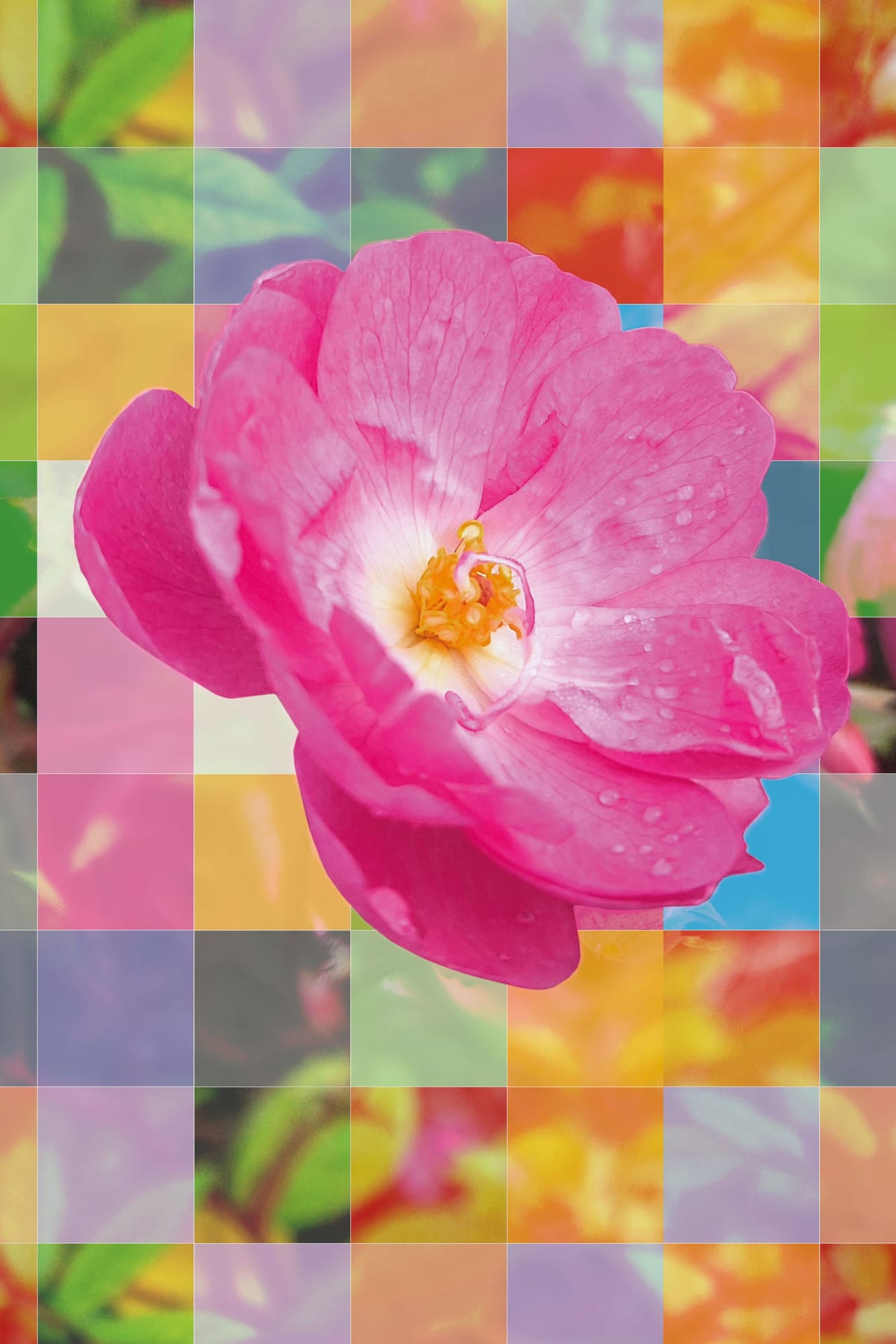variant-60x90_no-margin
